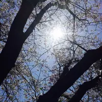 高知市の写真・動画_image_302400