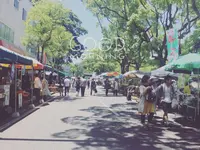 日曜市の写真・動画_image_302401