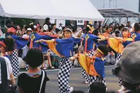 高知県の写真・動画_image_302402