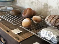 MELEの写真・動画_image_303009