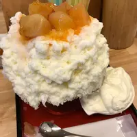 ひみつ堂の写真・動画_image_303063