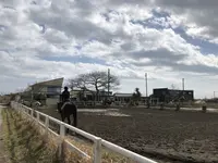 一の宮乗馬センターの写真・動画_image_303117