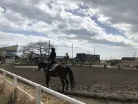 一の宮乗馬センターの写真・動画_image_303120