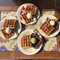 Uluruの写真・動画_image_304271