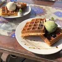 Uluruの写真・動画_image_304272