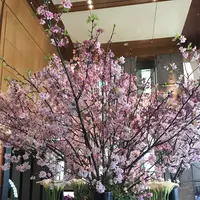 ザ・リッツ・カールトン東京の写真・動画_image_304919