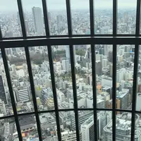 コンラッド大阪の写真・動画_image_306398