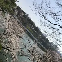 北の丸公園の写真・動画_image_306894