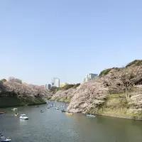 千鳥ヶ淵の写真・動画_image_306957