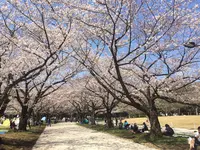 大井ふ頭海浜公園の写真・動画_image_307150