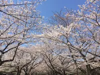 大井ふ頭海浜公園の写真・動画_image_307151