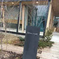 ブルー マグ コーヒーの写真・動画_image_307157