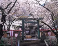金崎宮の写真・動画_image_307529