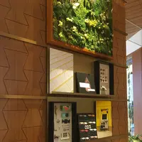 LEXUS MEETS … （レクサス　ミーツ）の写真・動画_image_307769