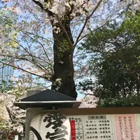 愛宕神社の写真・動画_image_307813