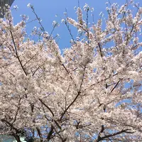 愛宕神社の写真・動画_image_307814