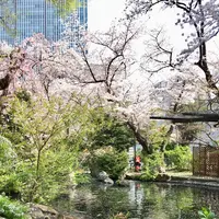愛宕神社の写真・動画_image_307816