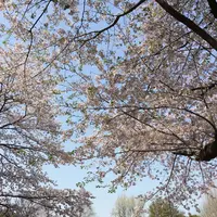 都立林試の森公園の写真・動画_image_307827