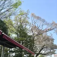 Le Pain Quotidien (ル・パン・コティディアン) 芝公園店の写真・動画_image_307831