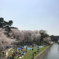 岡崎城の写真・動画_image_307855