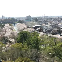 岡崎城の写真・動画_image_307856