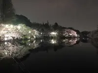 井の頭恩賜公園の写真・動画_image_307868