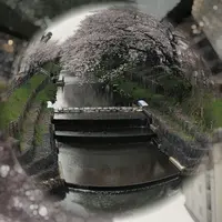 小江戸川越春の舟遊の写真・動画_image_307911