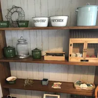 ウミネコ商店の写真・動画_image_308056