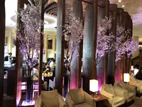 Thrush Cafeの写真・動画_image_308176