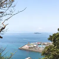 大崎公園の写真・動画_image_308199