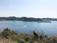 大崎公園の写真・動画_image_308200