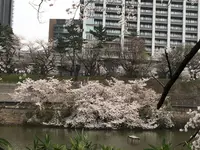 飯田橋サクラテラスの写真・動画_image_308334