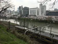 飯田橋サクラテラスの写真・動画_image_308336