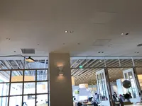 bills お台場の写真・動画_image_308441