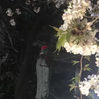 慈眼寺の写真・動画_image_308473