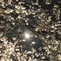 慈眼寺の写真・動画_image_308475