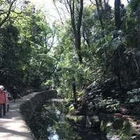 等々力渓谷の写真・動画_image_308511
