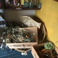 マールカフェの写真・動画_image_309098