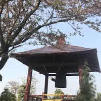 正法院の写真・動画_image_309150