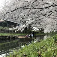 川越氷川神社の写真・動画_image_309552