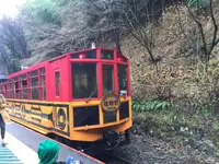嵯峨野トロッコ列車の写真・動画_image_310459