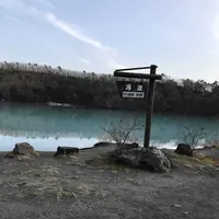 潟沼の写真・動画_image_310996