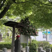 奥州道（バス）の写真・動画_image_311397