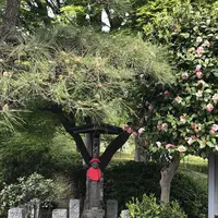 奥州道（バス）の写真・動画_image_311398