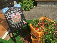 代官山 蔦屋書店(TSUTAYA)の写真・動画_image_311701