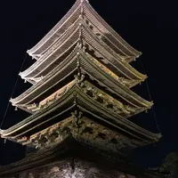 東寺（教王護国寺）の写真・動画_image_311716