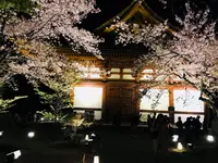 東寺（教王護国寺）の写真・動画_image_311718