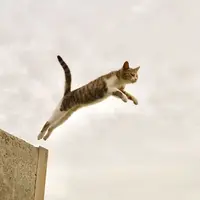 佐柳島の写真・動画_image_311761