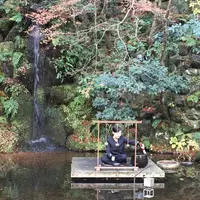 星のや 京都の写真・動画_image_311783