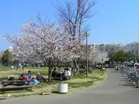 若潮公園の写真・動画_image_312005